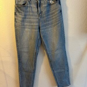 American Eagle Outfitters Light Blue Ankle Jeans